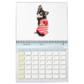 Obsessieve Chihuahua Disorder 2011 Calendar Kalender (Feb 2026)