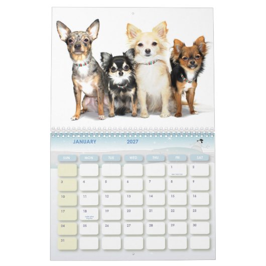 Obsessieve Chihuahua Disorder 2012 Calendar Kalender (Jan 2027)