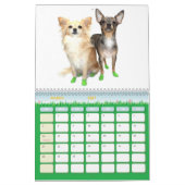 Obsessieve Chihuahua Disorder 2012 Calendar Kalender (Mar 2027)