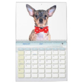 Obsessieve Chihuahua Disorder 2012 Calendar Kalender (Feb 2027)