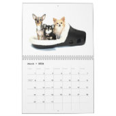 Obsessieve Chihuahua Disorder 2014 Calendar Kalender (Mar 2026)