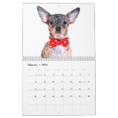Obsessieve Chihuahua Disorder 2014 Calendar Kalender (Feb 2026)