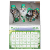 Obsessieve Chihuahua Disorder 2015 Calendar Kalender (Mar 2026)