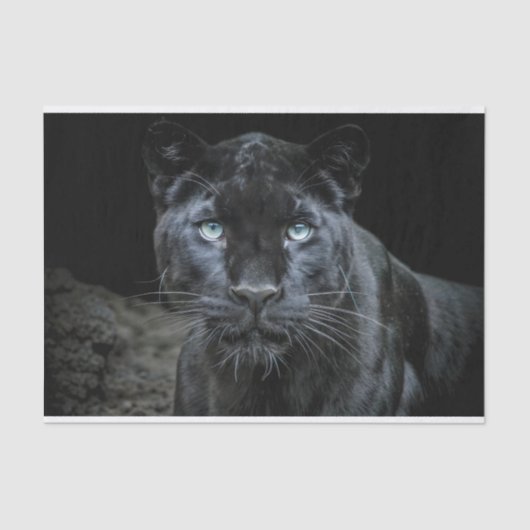 Obsidiaan oog decoupage tissuepapier (Voorkant)