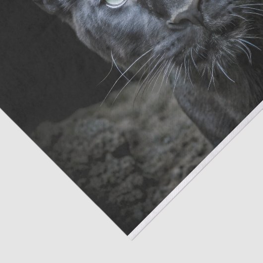 Obsidiaan oog decoupage tissuepapier (Detail)