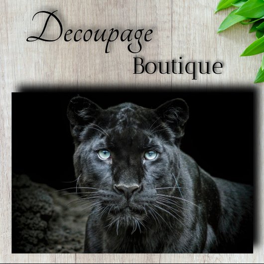 Obsidian Eyes Découpage Tissuepapier