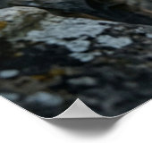 Obsidian Kraai Gotische Toren Poster (Hoek)