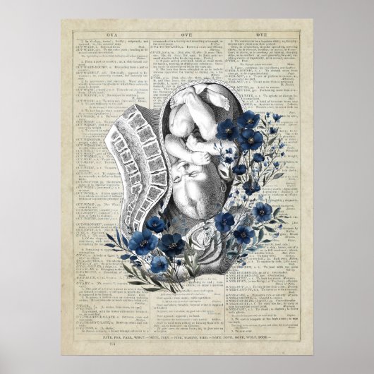Obstetrie Baby in de baarmoeder anatomie Blauwe Bl Poster (Voorkant)