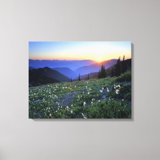 Obstruciton Point Zonsondergang, Olympic NP, WA, U Canvas Afdruk (Voorkant)