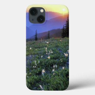 Obstruciton Point Zonsondergang, Olympic NP, WA, U Case-Mate iPhone Case