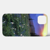 Obstruciton Point Zonsondergang, Olympic NP, WA, U Case-Mate iPhone Case (Achterkant (horizontaal))