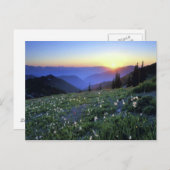 Obstruction Point Sunset, Olympic NP, WA, Verenigd Briefkaart (Voorkant / Achterkant)