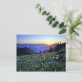 Obstruction Point Sunset, Olympic NP, WA, Verenigd Briefkaart (Staand voorkant)