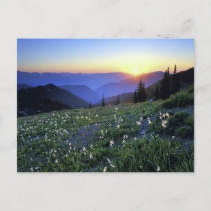 Obstruction Point Sunset, Olympic NP, WA, Verenigd Briefkaart