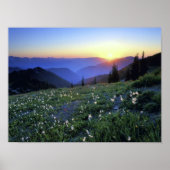 Obstruction Point Sunset, Olympic NP, WA, Verenigd Poster (Voorkant)