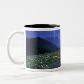 Obstruction Point Sunset, Olympic NP, WA, Verenigd Tweekleurige Koffiemok (Links)