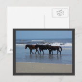 OBX BRIEFKAART (Voorkant / Achterkant)