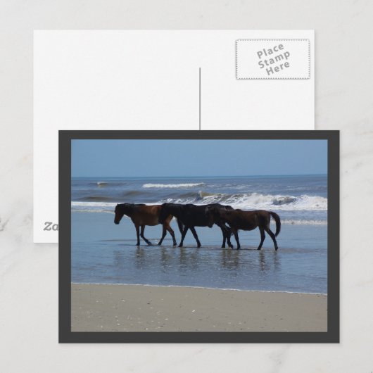 OBX BRIEFKAART (Voorkant / Achterkant)