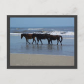 OBX BRIEFKAART (Voorkant)