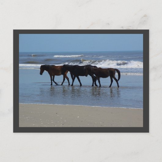 OBX BRIEFKAART (Voorkant)