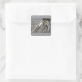 OBX buitenbanken Vierkante Sticker (Tas)