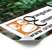 OC Orangutan Poster (Hoek)