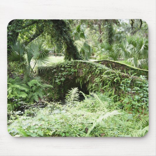 Ocala Florida Forest Footbridge mousepad foto-kuns Muismat (Voorkant)