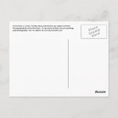 Ocala Florida Horse Boerderij Horses Briefkaart Fl (Achterkant)