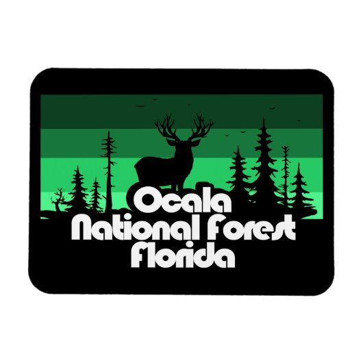Ocala National Forest Florida Magneet (Horizontaal)
