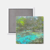 Ocala National Forest Florida magneet (Voorkant / Achterkant)