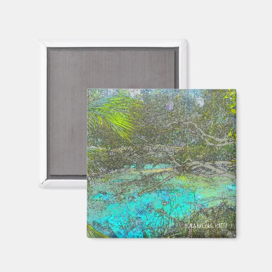 Ocala National Forest Florida magneet (Voorkant / Achterkant)