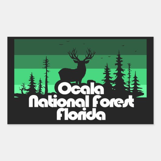 Ocala National Forest Florida Rechthoekige Sticker (Voorkant)