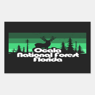 Ocala National Forest Florida Rechthoekige Sticker