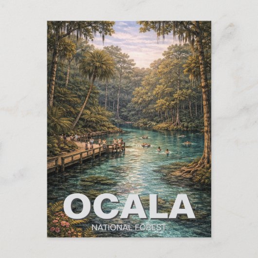 Ocala National Forest Florida Reis Briefkaart (Voorkant)