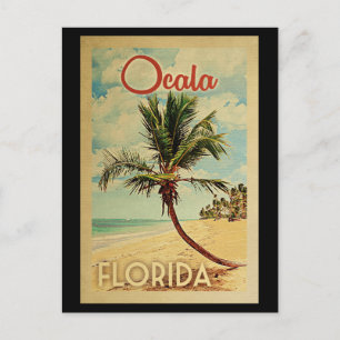 Ocala Palm Tree Vintage Travel Briefkaart