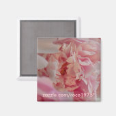 Occhiata Magneet (Voorkant / Achterkant)