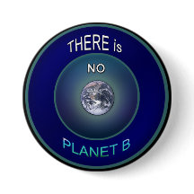 Occupy Planet Earth "Er is geen planeet B"-Button
