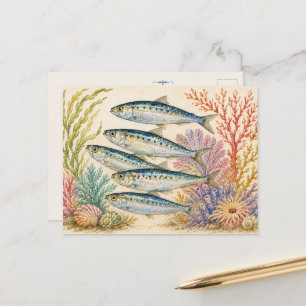 Oceaan Aquarel Geïnspireerde Postkaart - 5 Sardine