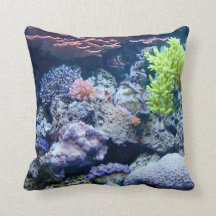 Oceaan onder water, zee, echt afbeelding