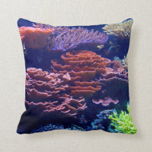 Oceaan onder water, zee leven, echt afbeelding