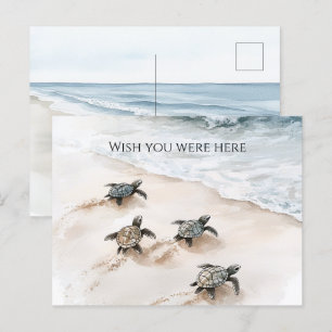 Oceaan Strand Kust Zeeschildpadden Briefkaart