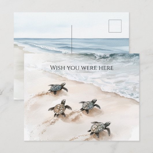 Oceaan Strand Kust Zeeschildpadden Briefkaart (Voorkant / Achterkant)