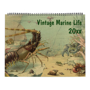  oceaan, zeedieren en Zee, creaties Kalender