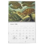  oceaan, zeedieren en Zee, creaties Kalender (Jan 2026)