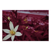 Oceaanbloem landschapskunst perfect poster (Voorkant)