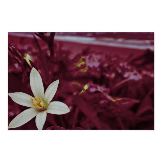 Oceaanbloem landschapskunst perfect poster (Voorkant)