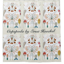  oceaandieren, Copepoda door Ernst Haeckel