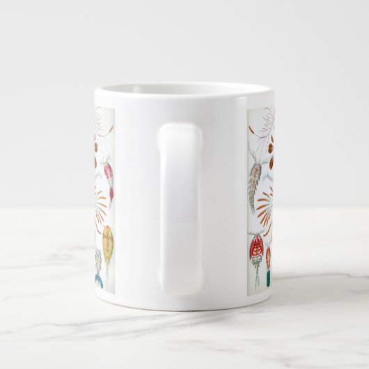  oceaandieren, Copepoda door Ernst Haeckel Grote Koffiekop (Achterkant)