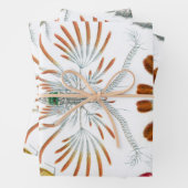  oceaandieren, Copepoda door Ernst Haeckel Inpakpapier Vel (In situ)