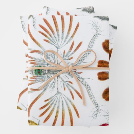  oceaandieren, Copepoda door Ernst Haeckel Inpakpapier Vel (In situ)